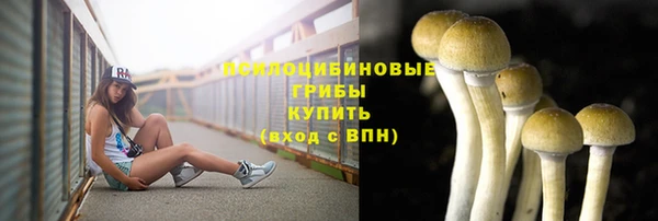 мескалин Сосновый Бор