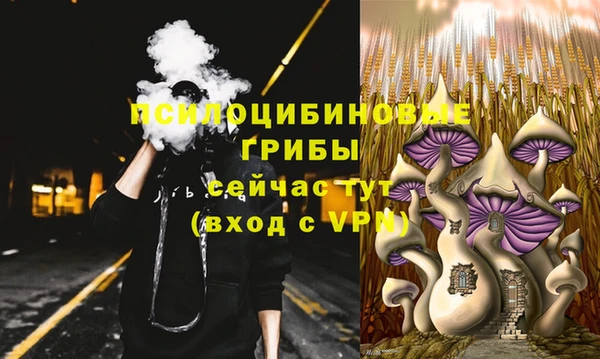трава Бронницы
